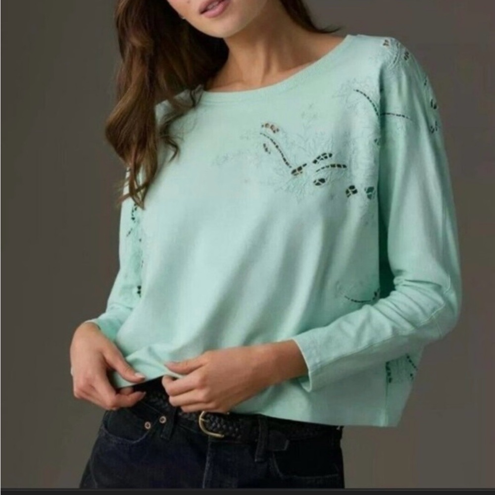 Anthropologie Light Green Long Sleeve Top embroidered size small new with tags